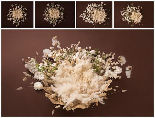 Dreamer Newborn Girl Backdrop Collection {Includes 35 Backdrops}