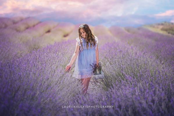 Over 800 Photoshop Actions, Overlays, Templates & More from Urban Bloom Actions