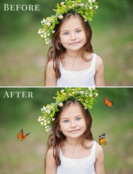 Spring Overlay Bundle: Bunnies, Magnolia, Butterflies, Lilacs, trees + more!