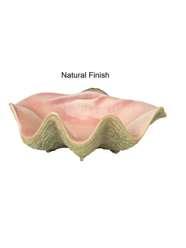 Large Seashell Photography Prop