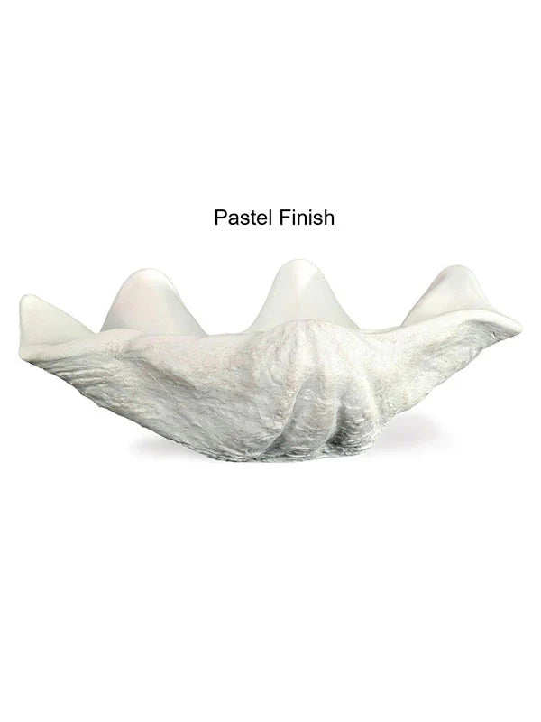 Large Seashell Photography Prop