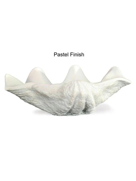 Large Seashell Photography Prop