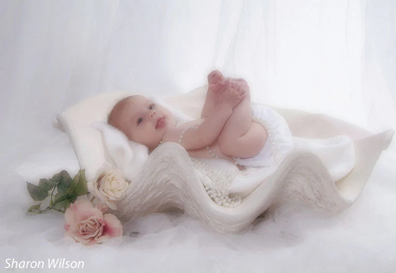 Large Seashell Photography Prop
