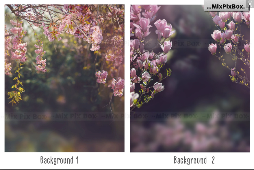 2020 Photo Overlay Bundle: Beach Backgrounds, Dirt Explosion, Stadium Light, Animal Overlays, Ribbon, Floral + more!