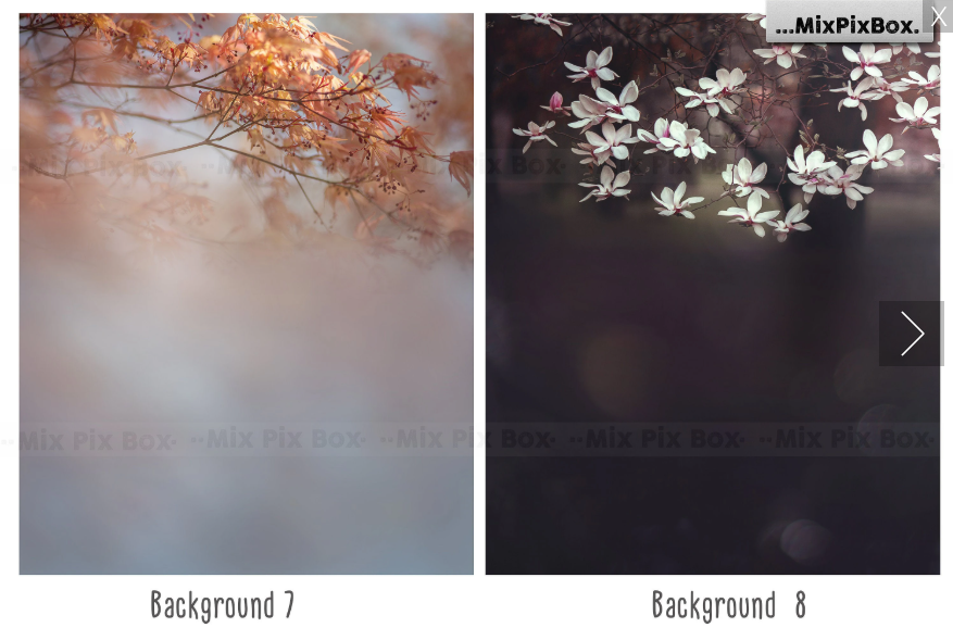 2020 Photo Overlay Bundle: Beach Backgrounds, Dirt Explosion, Stadium Light, Animal Overlays, Ribbon, Floral + more!