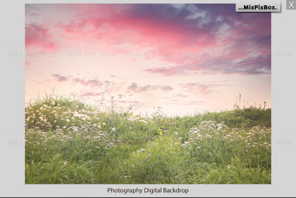 2020 Photo Overlay Bundle: Beach Backgrounds, Dirt Explosion, Stadium Light, Animal Overlays, Ribbon, Floral + more!