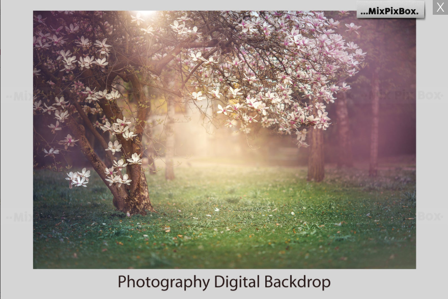 2020 Photo Overlay Bundle: Beach Backgrounds, Dirt Explosion, Stadium Light, Animal Overlays, Ribbon, Floral + more!