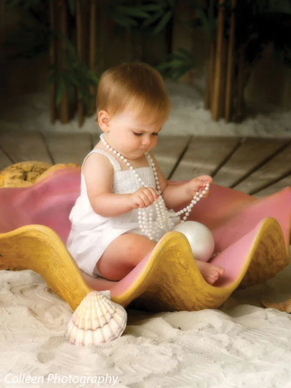 Large Seashell Photography Prop