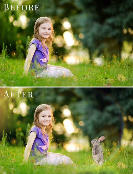 Spring Overlay Bundle: Bunnies, Magnolia, Butterflies, Lilacs, trees + more!