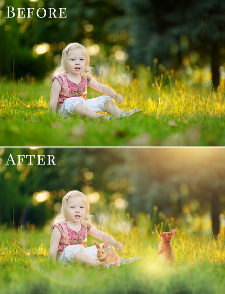 Spring Overlay Bundle: Bunnies, Magnolia, Butterflies, Lilacs, trees + more!