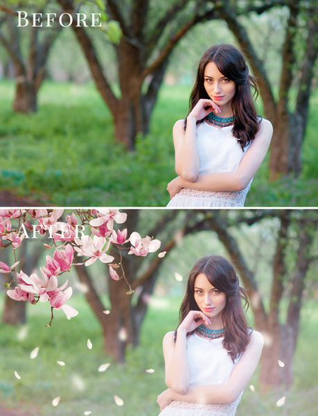 Spring Overlay Bundle: Bunnies, Magnolia, Butterflies, Lilacs, trees + more!