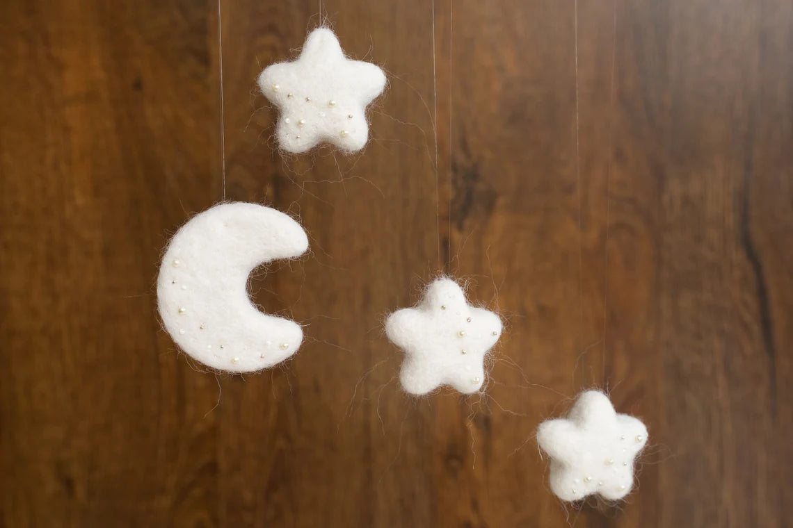 Newborn Moon Basket Photography Props