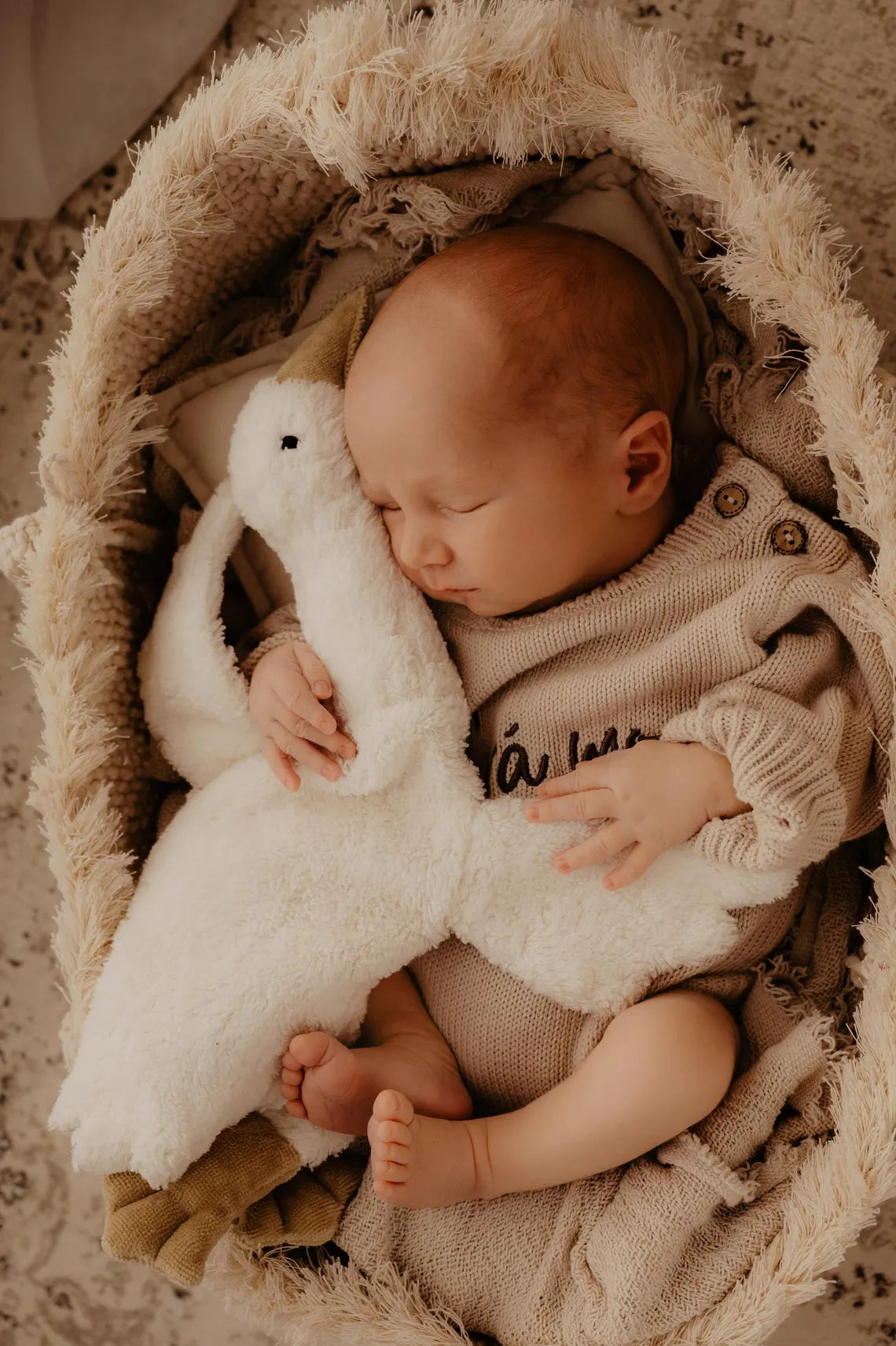 Baby sleeping in a basket with a plush toy, wrapped in soft blankets.