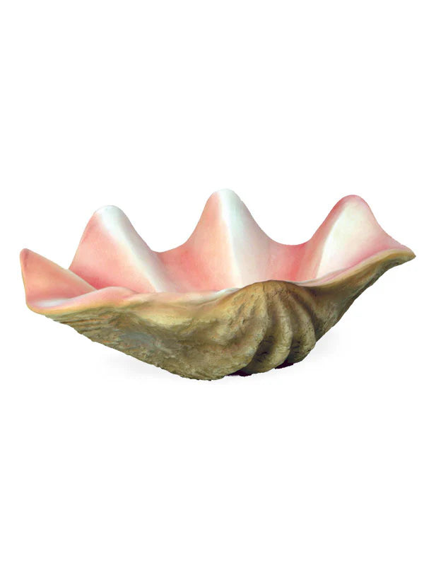 Large Seashell Photography Prop