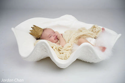 Large Seashell Photography Prop