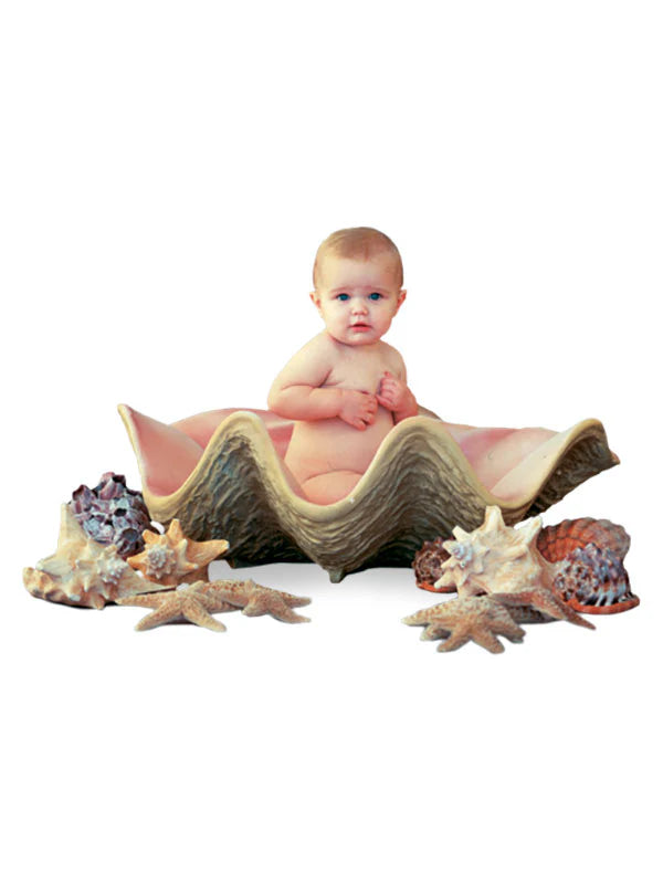 Large Seashell Photography Prop